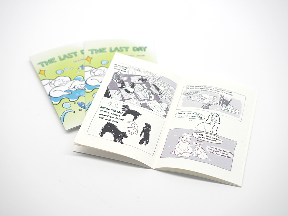 "The Last Day" zine