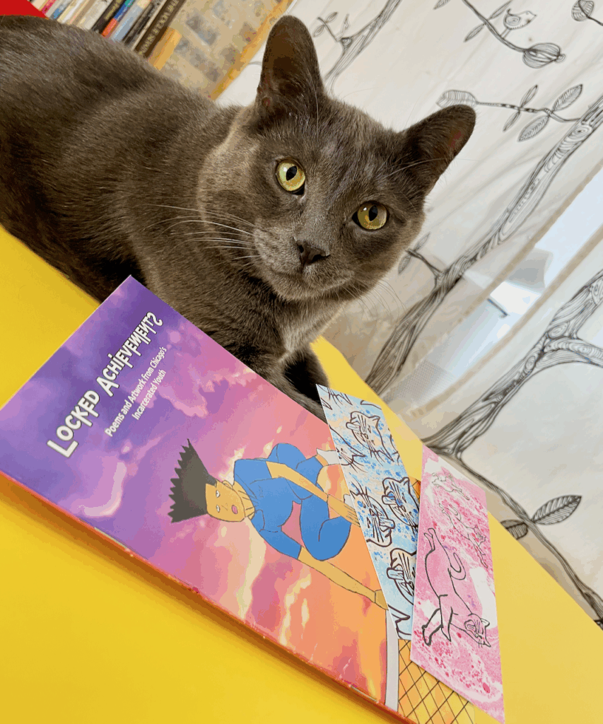 Beautiful Cat Artist Books