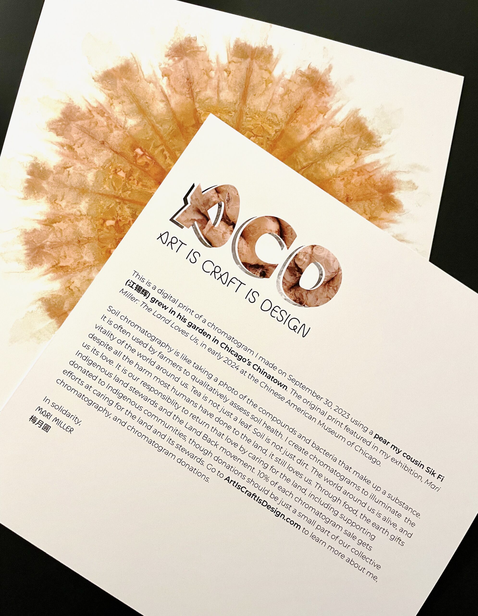 the back of the chromatogram print, featuring the Art is Craft is Design logo and text telling the story of the print