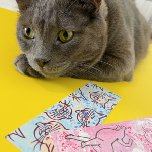 Beautiful Cat Bookmarks