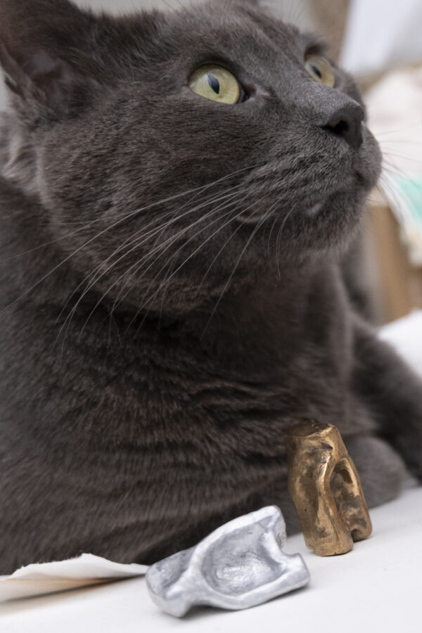 a grey cat with aluminum and bronze fidget toys that look sort of like vertebra