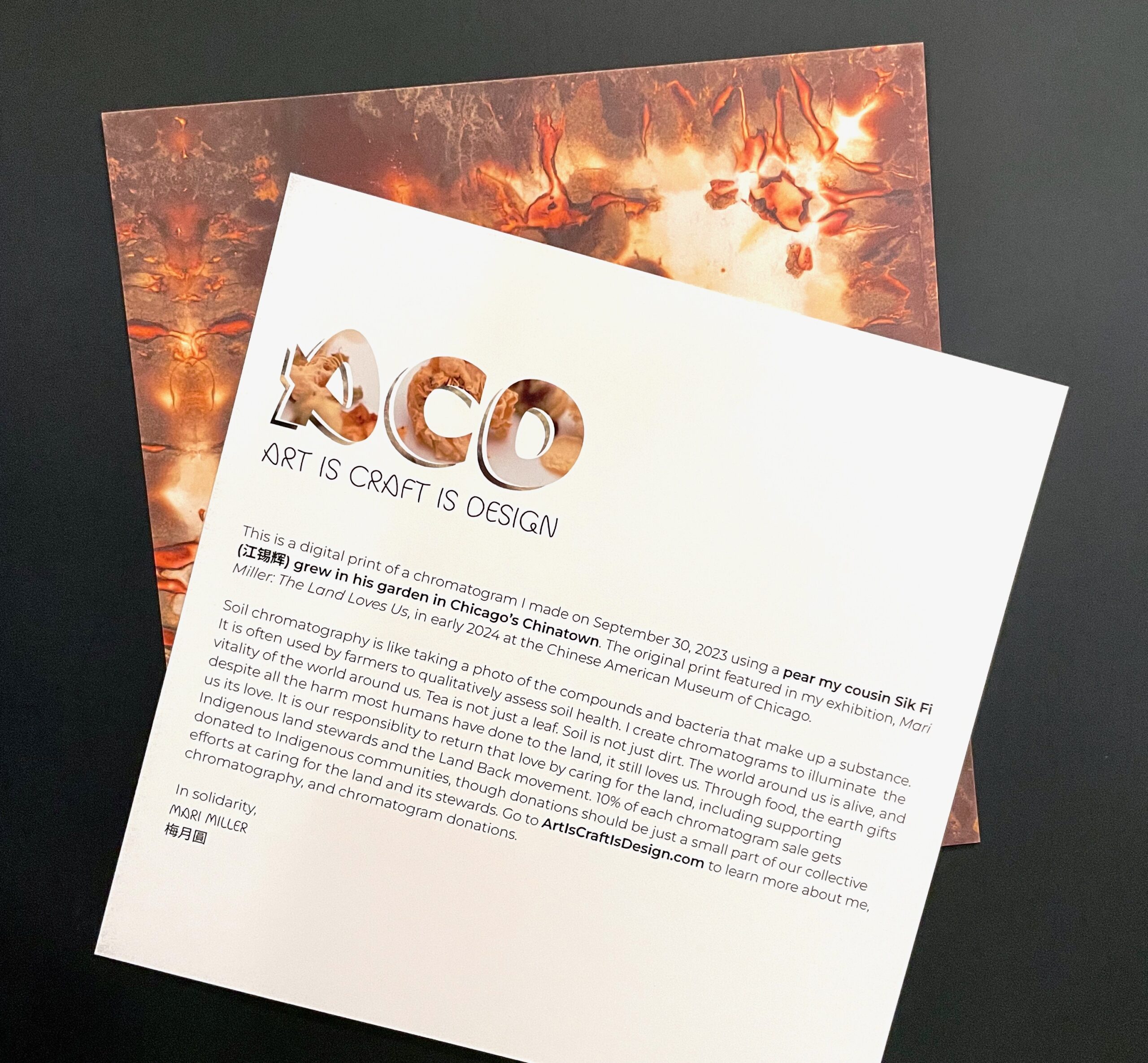 the back of the chromatogram print, featuring the Art is Craft is Design logo and text telling the story of the print