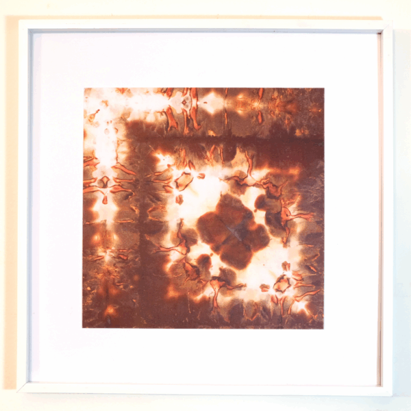 chromatogram of a pear hanging in a white frame. The print features brown and red abstract splotches