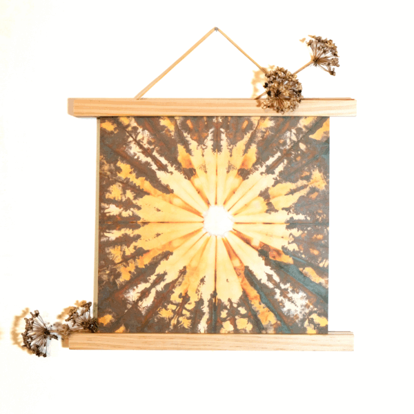 chromatogram print featuring a radial burst of yellows and greenish-browns. The print is hanging in between wooden poster frames, which are bars of wood at the top and bottom of the print. Dried flowers are on the frame.