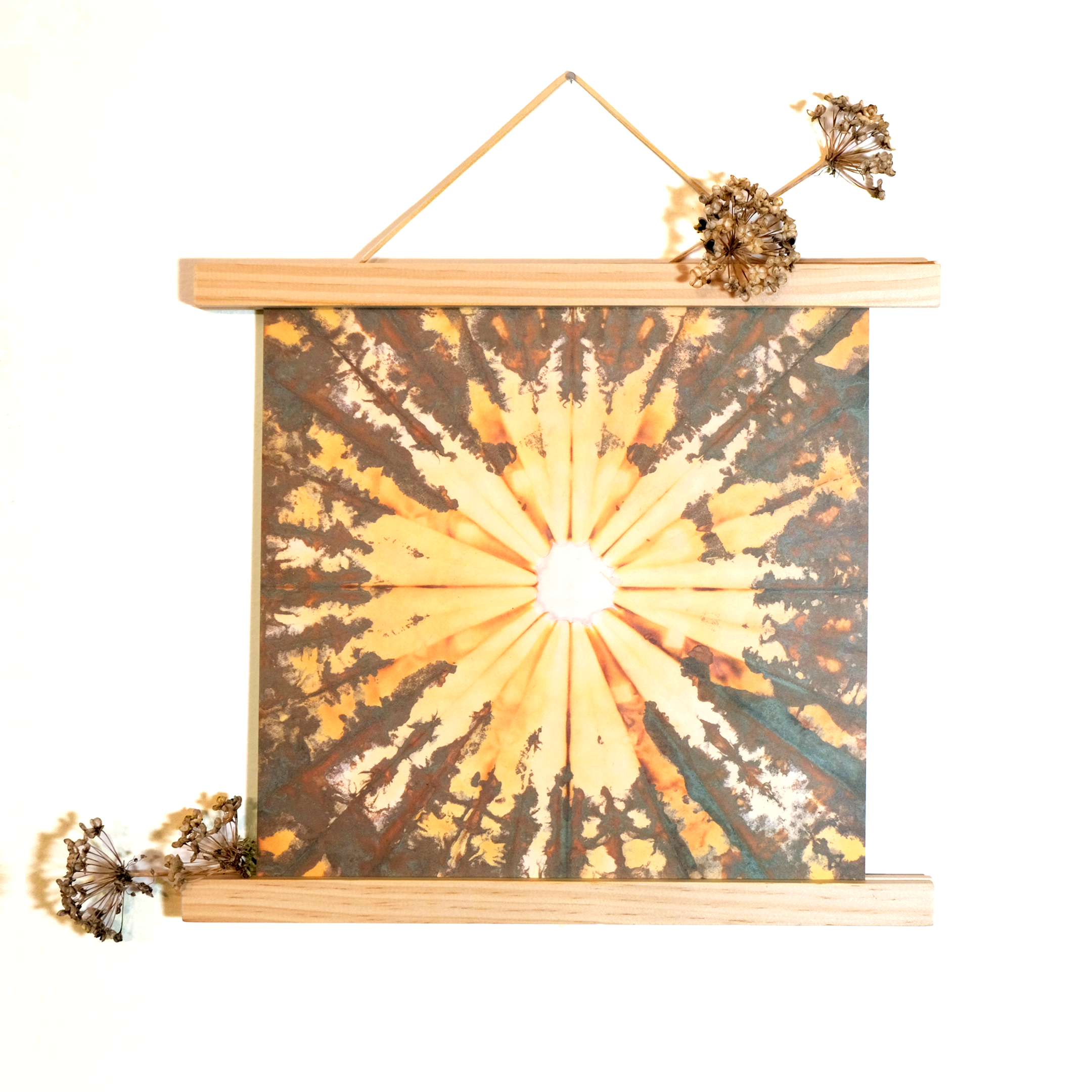 chromatogram print featuring a radial burst of yellows and greenish-browns. The print is hanging in between wooden poster frames, which are bars of wood at the top and bottom of the print. Dried flowers are on the frame.